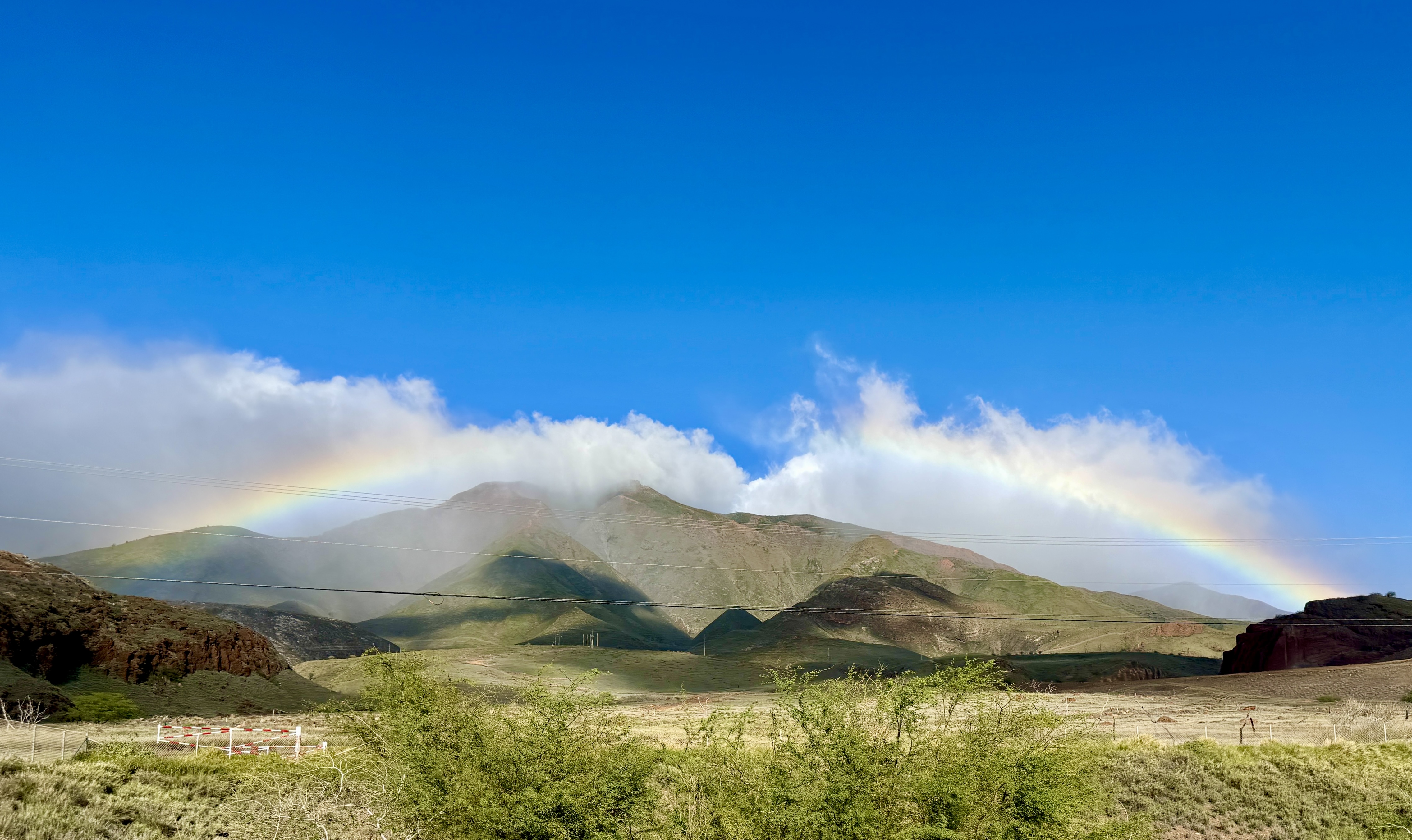 Maui Rainbow