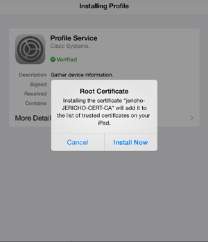 iPhone profile installation confirmation