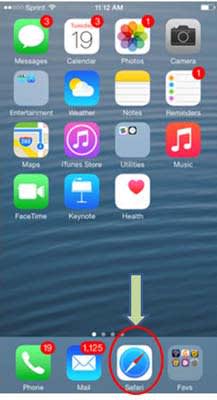 iPhone Safari browser icon